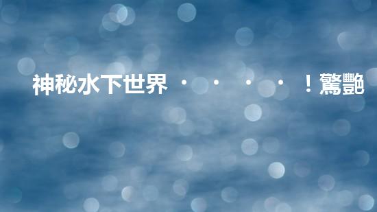 神秘水下世界！驚艷清淤船操作，全程視頻曝光！